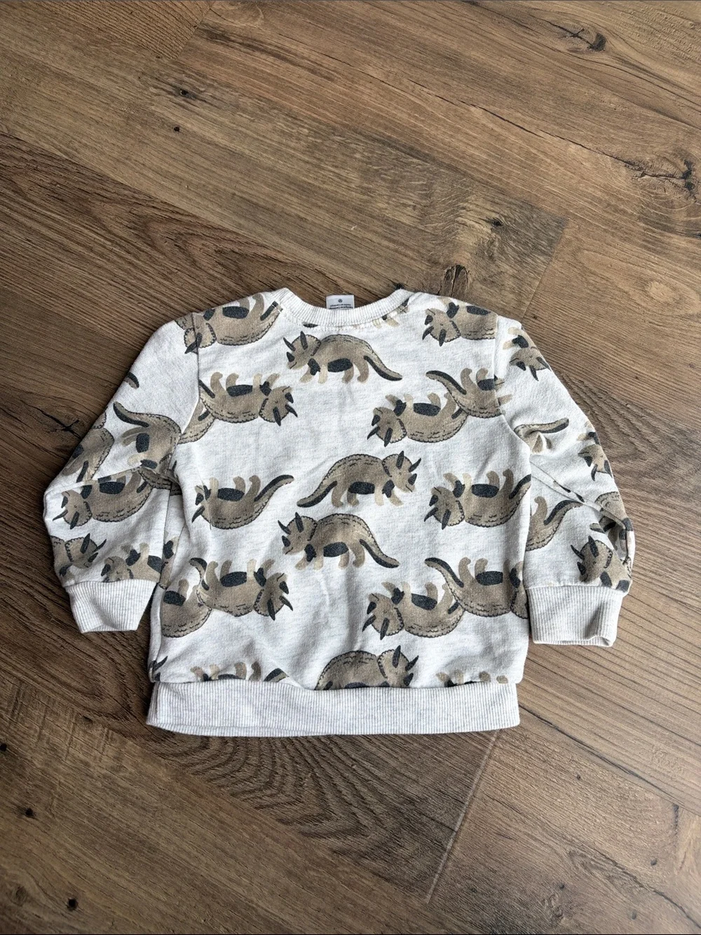 18 Months Triceratops Print Sweatshirt
